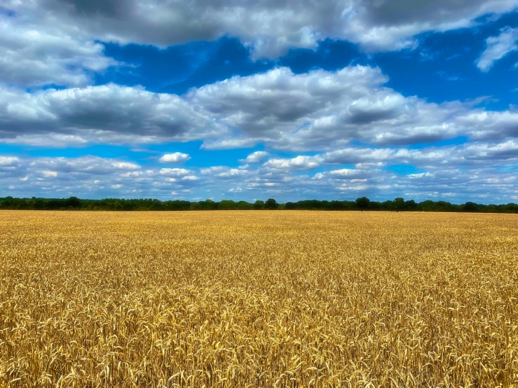 a large field with a sky in the background