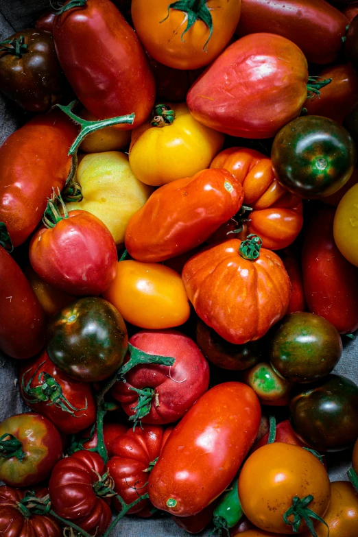 this is the image of the tomato variety