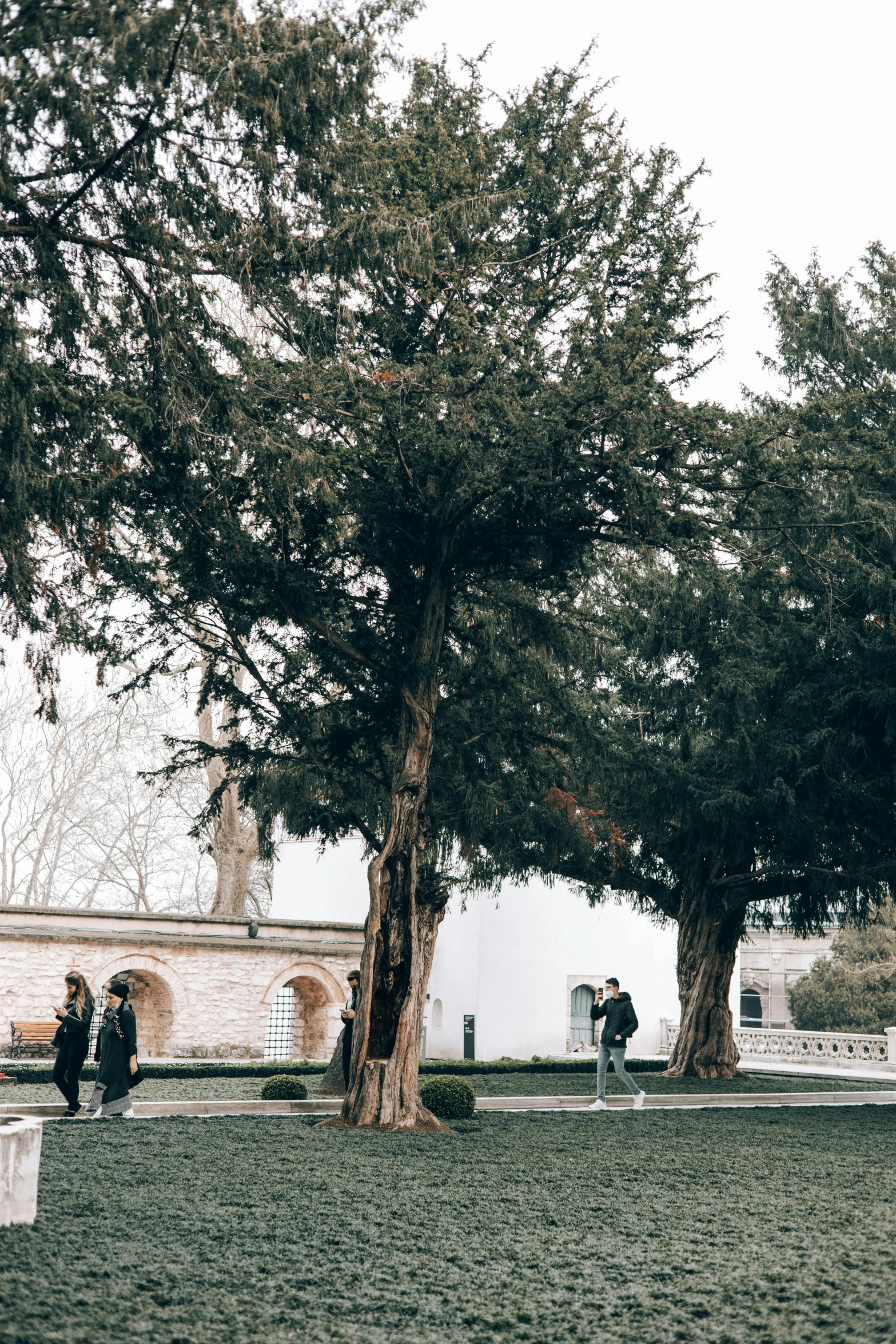 three people standing under trees in the distance