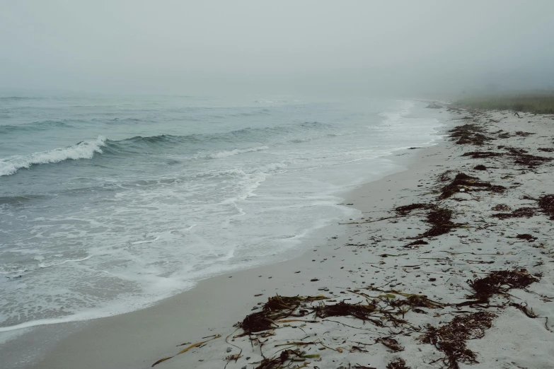 the foggy ocean shore is lined with wet sand