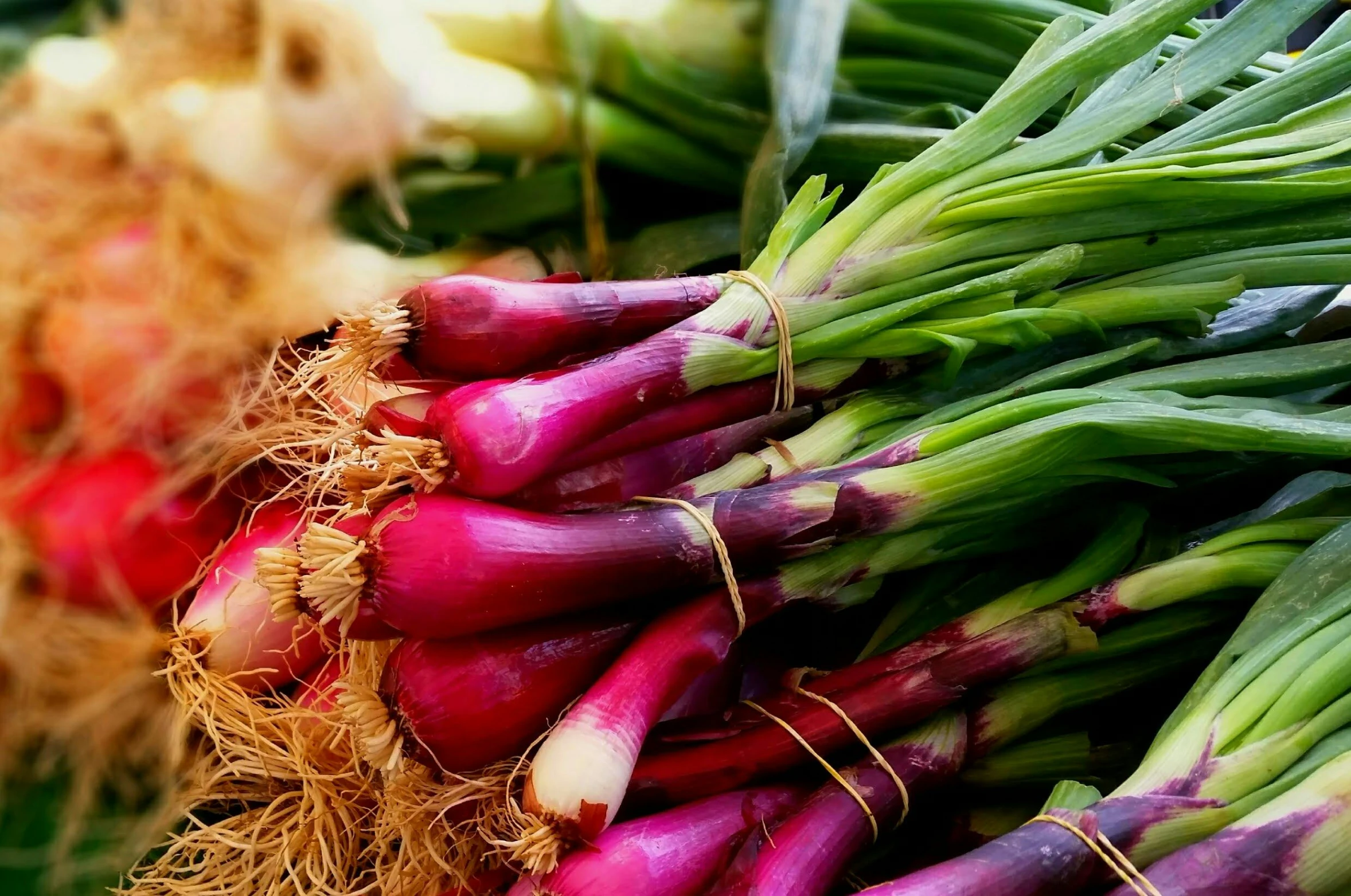 a lot of different vegetables that are on display