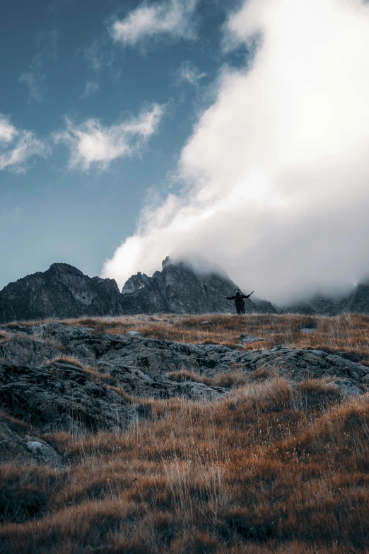 an animal is standing on the plains with clouds above