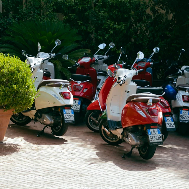 a row of parked motor scooters sitting next to a plant