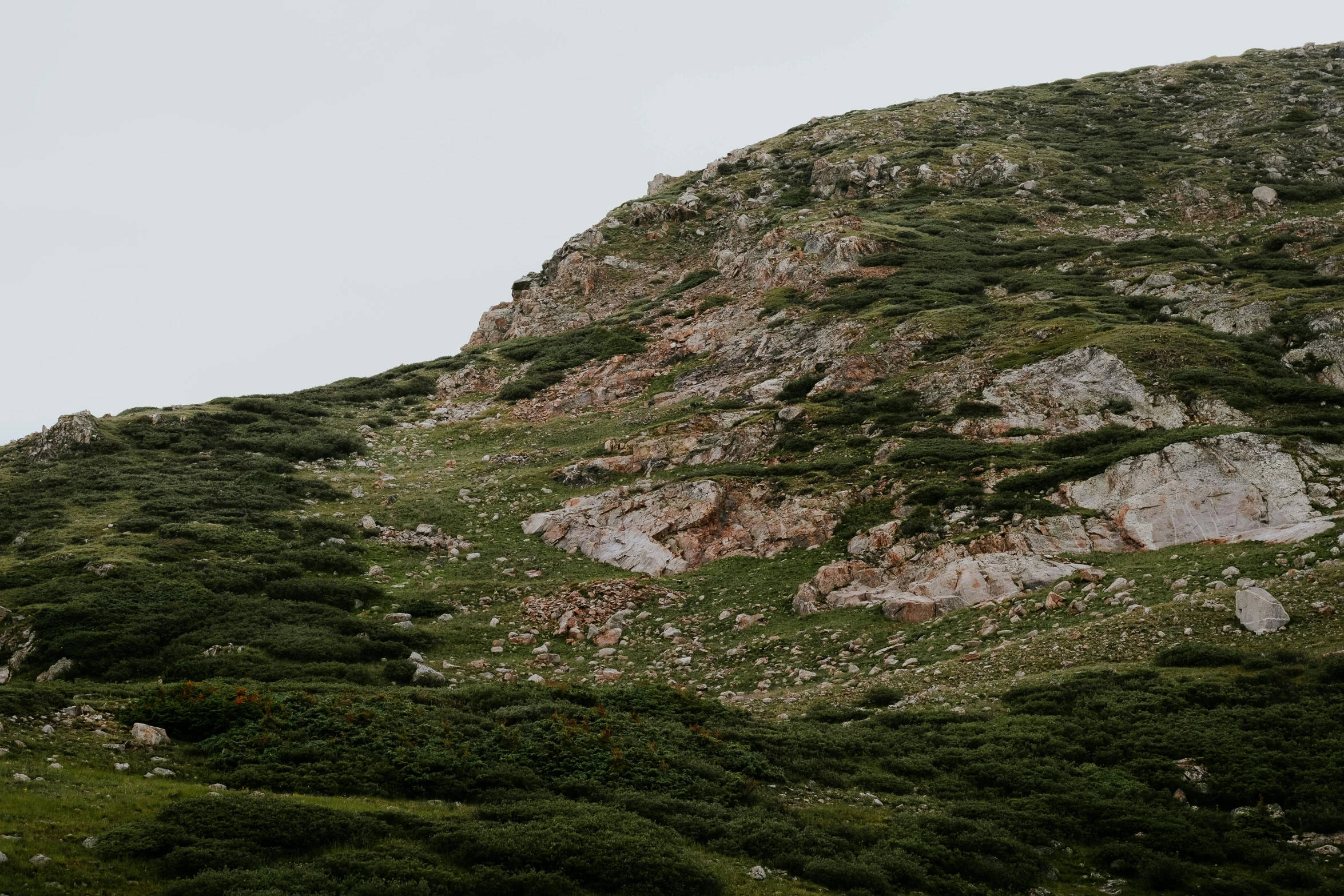 a steep, green cliff with a sky background