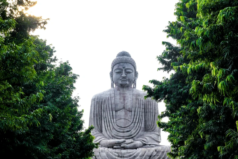 a large buddha statue sitting in the middle of a forest