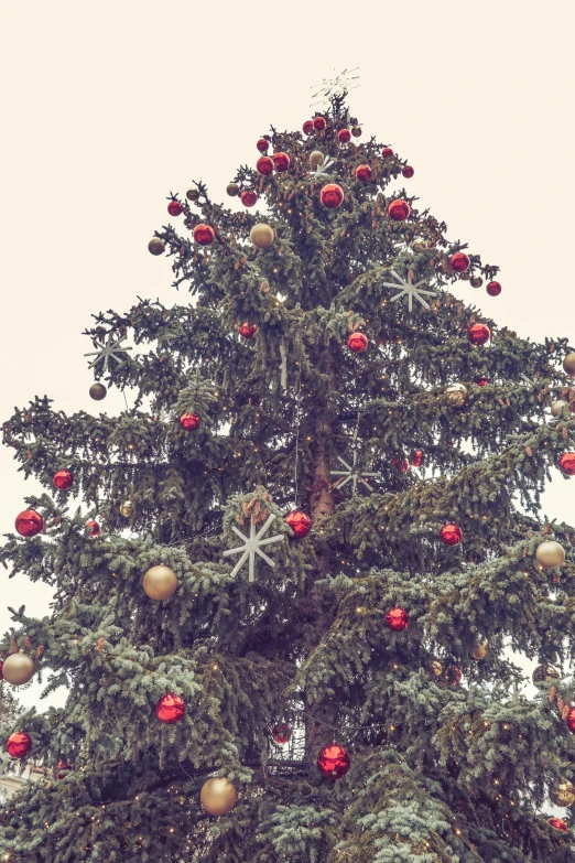 an almost eaten christmas tree with ornaments in it