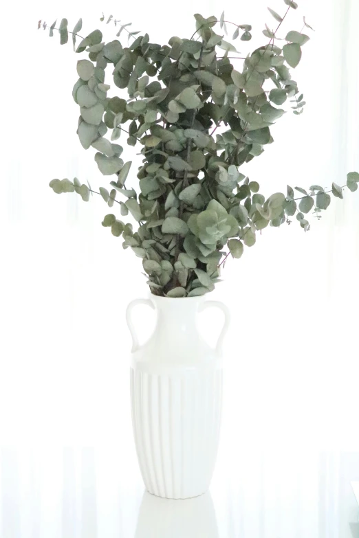 a plant with many leaves in a white vase