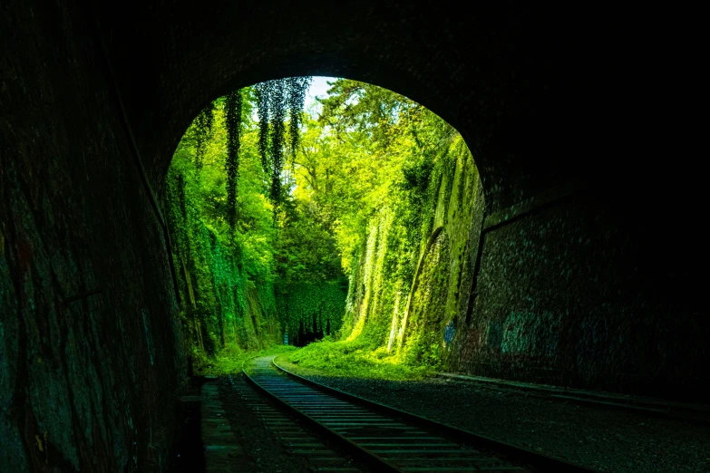 a train tracks and tunnel with trees on either side