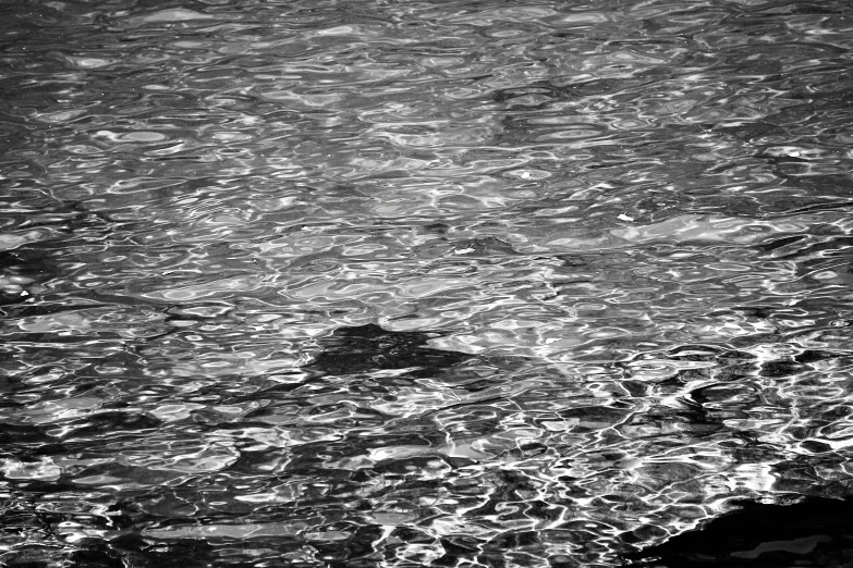 a man standing in the water holding a surfboard