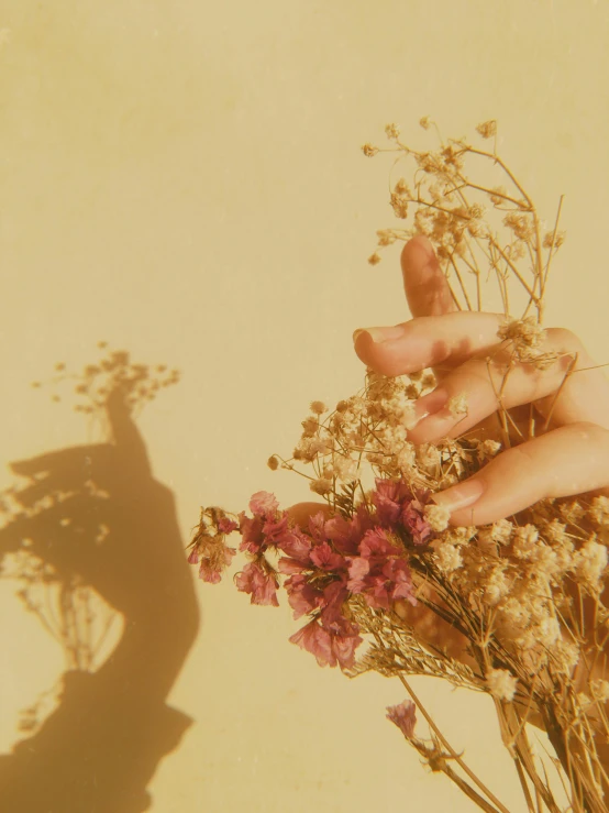 a person holding flowers with their hand