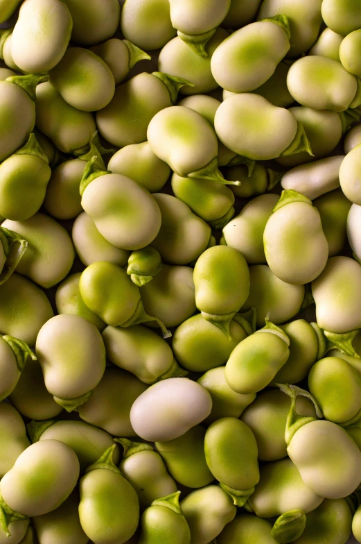 the green beans have long green stalks