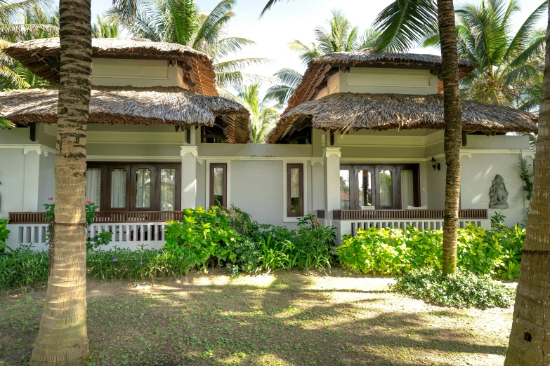 a white building with palm trees on both sides