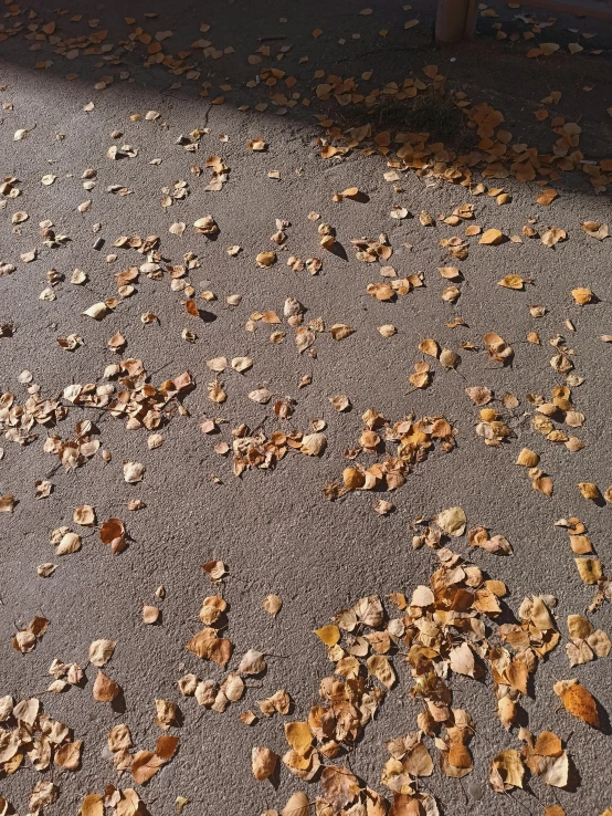 dirt is scattered near the side of a road