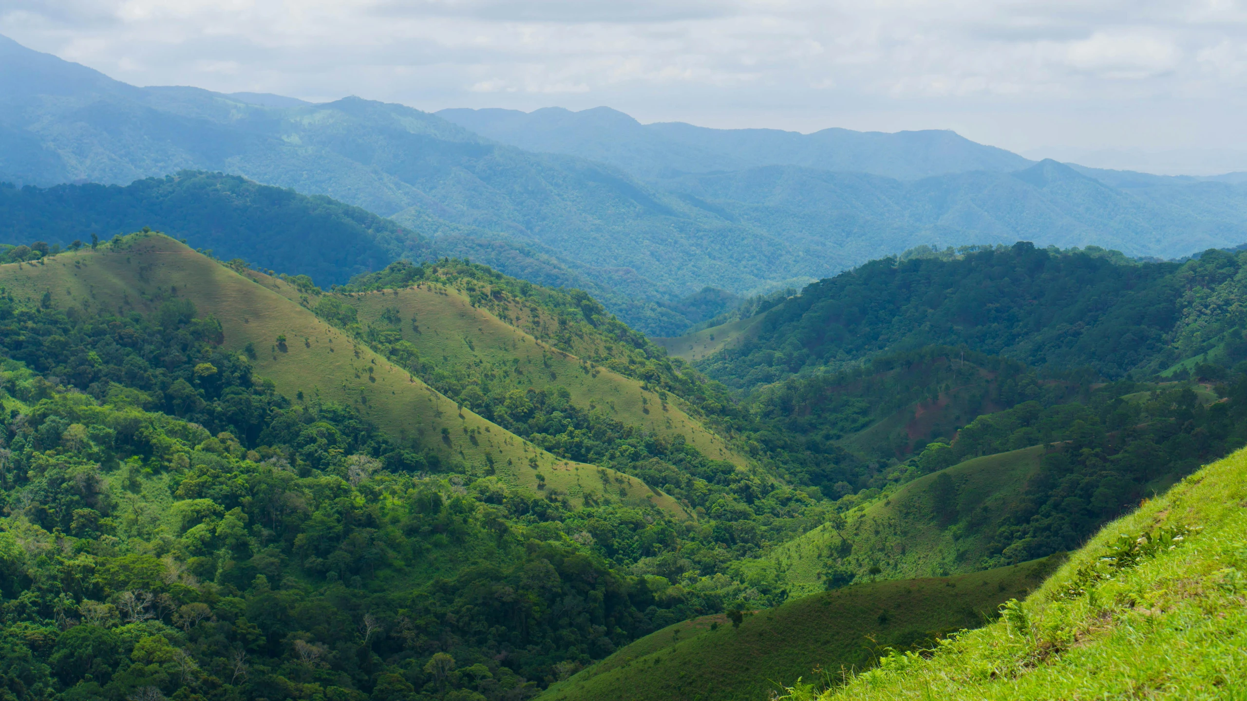 lush green mountains rise above grassy hills on a cloudy day