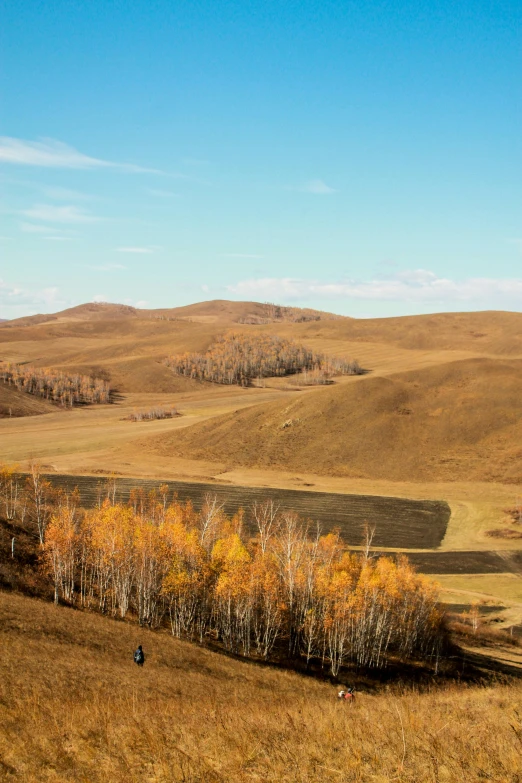 a big grassy field surrounded by hills and trees