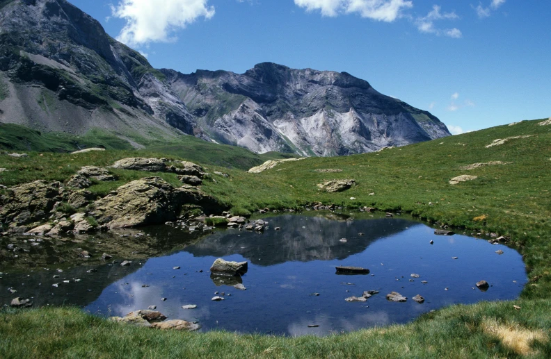 a small mountain pond with a grassy field