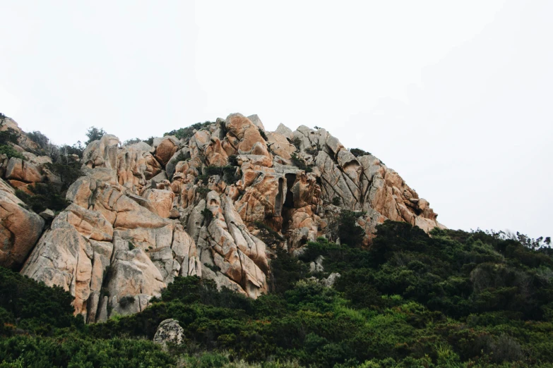 some trees and bushes near the side of some mountain