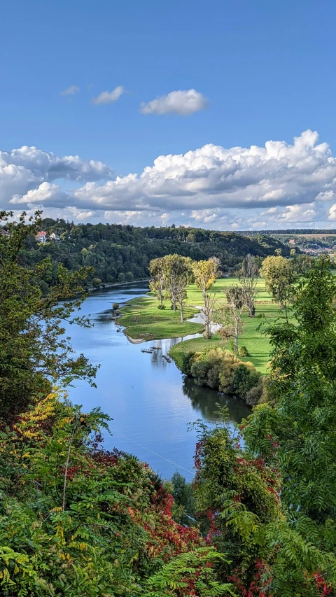 a river with trees and greenery on the side