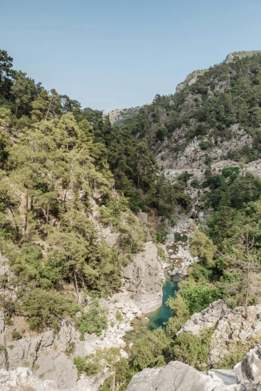 a river in a canyon filled with lots of trees