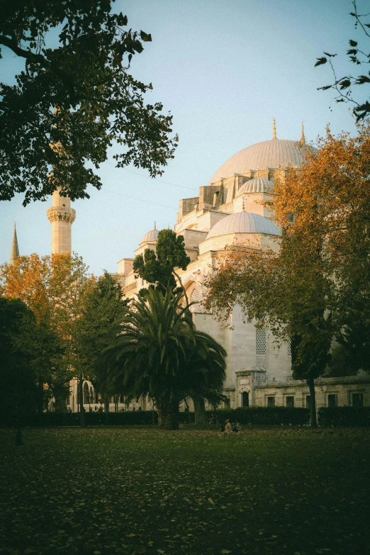 view from the green, leafy grass in front of a white building