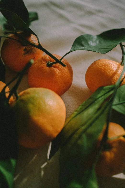 oranges in a bunch, on a table top
