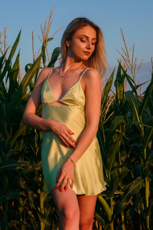 a beautiful young blonde woman in a short dress in front of a corn field