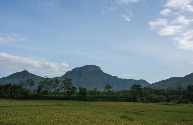 some very pretty mountains in the distance with a grassy field in front