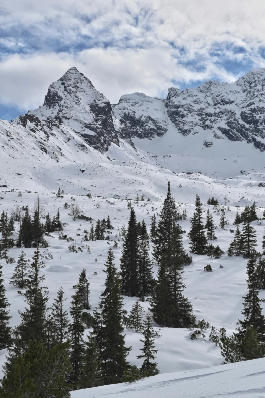 the mountain range is covered in snow, with evergreen trees