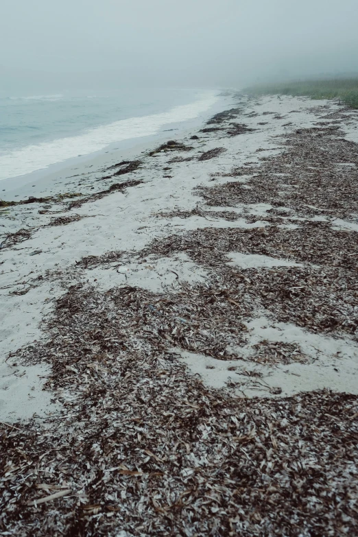 a sandy beach near the water covered in snow