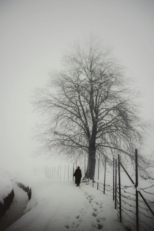 a person standing on a snow covered hill next to a fence
