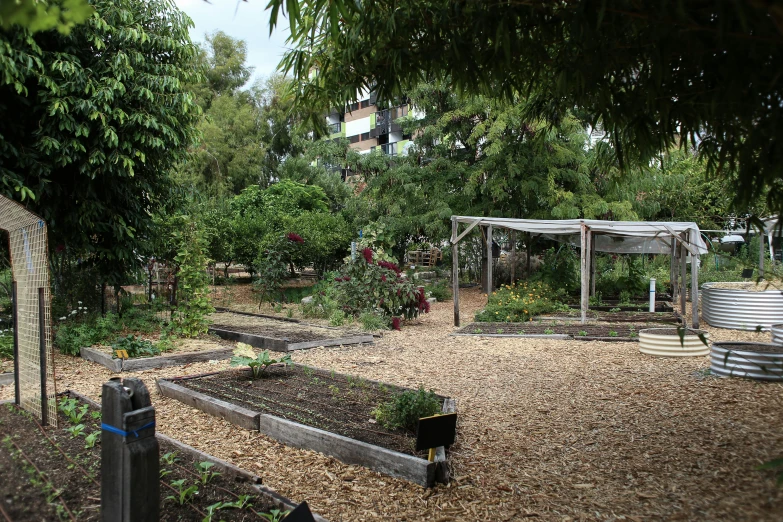 the garden is ready to be grown and used for growing flowers