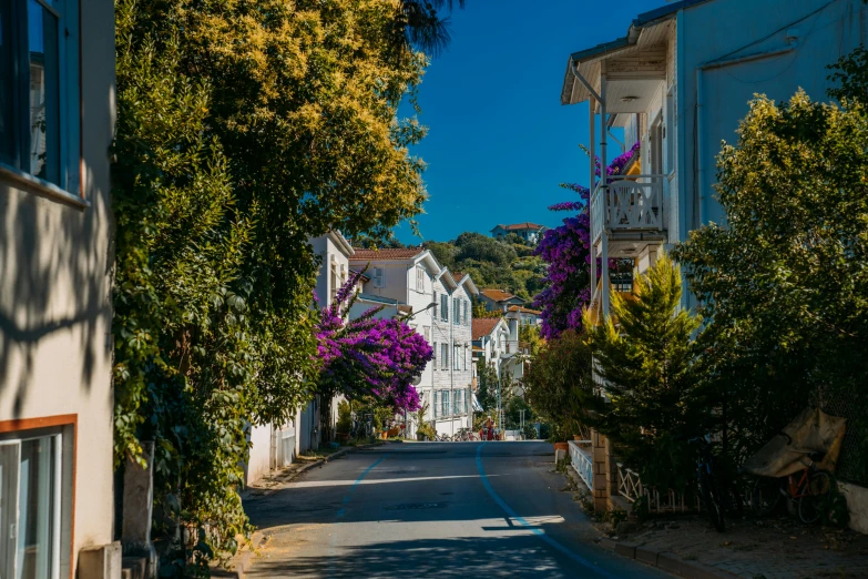 a view of a street lined with trees and flower boxes