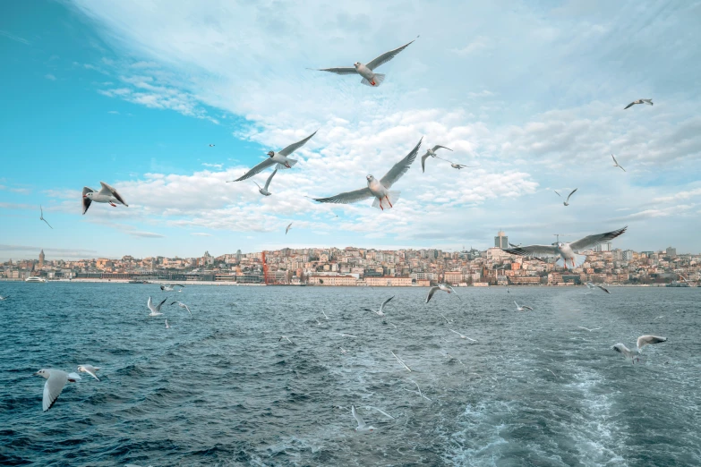 a flock of seagulls flying over a large body of water