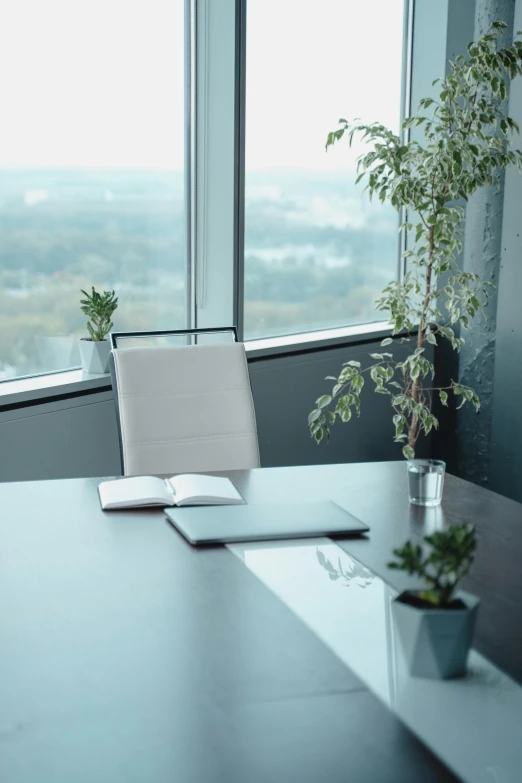 there is a plant and an open book on the desk