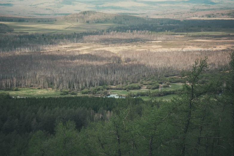 a hill with many trees near by, and hills that are covered in dead - leaf