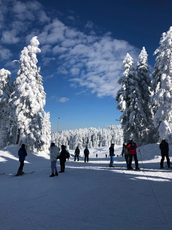 people on snow skis in the snowy woods