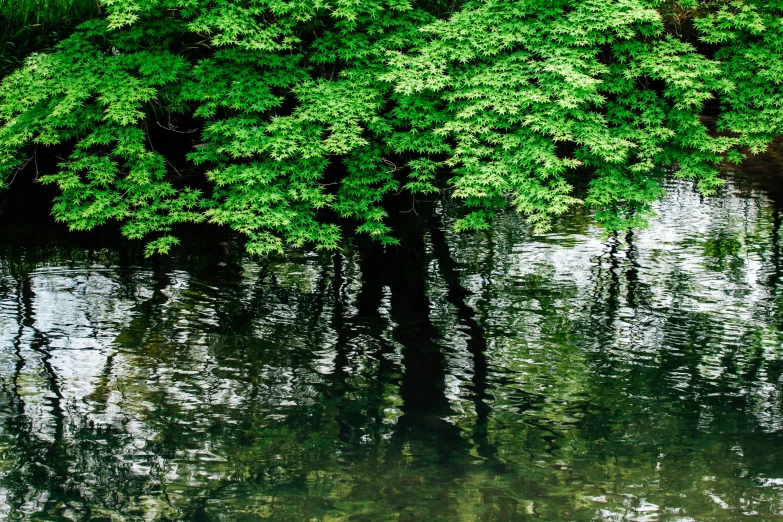 a bench that is sitting near some water