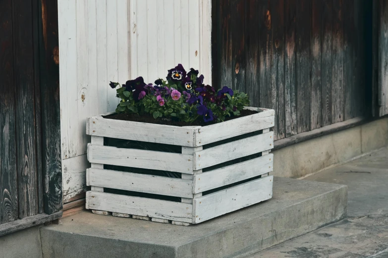 purple flowers sitting in a white crate on some steps