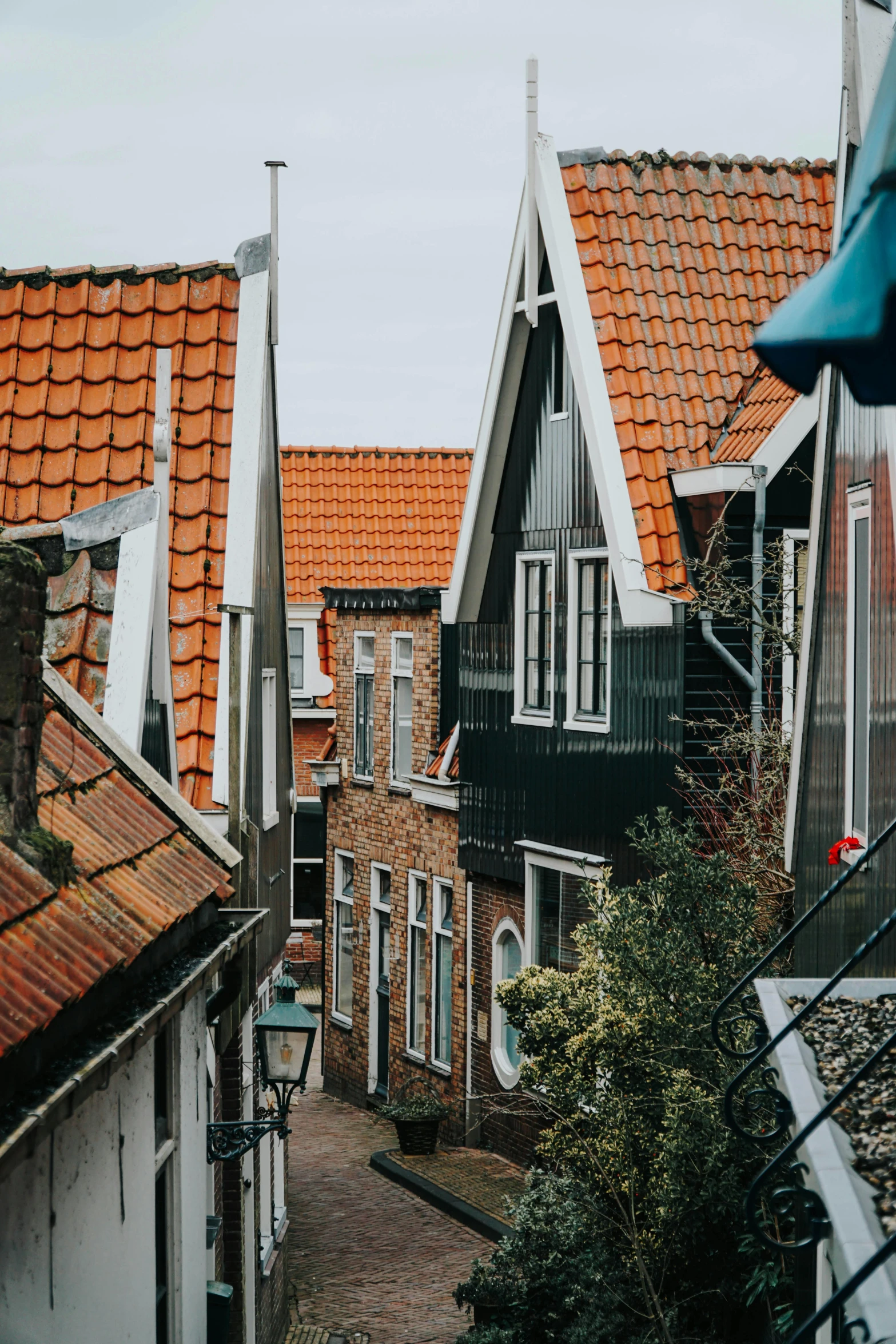 several rooftops in the old town with a few trees