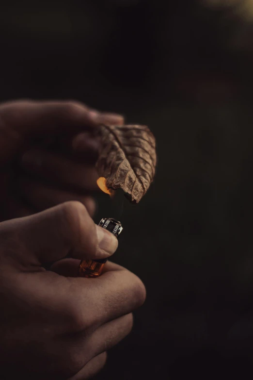 two hands holding a small cigarette that has a leaf on it