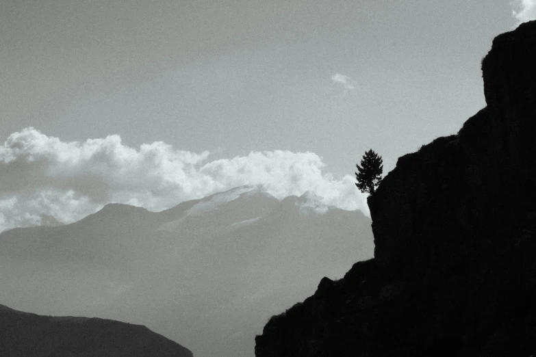 a lone pine tree on the top of a cliff