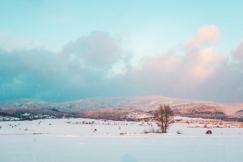 some trees and mountains covered in snow with a blue sky