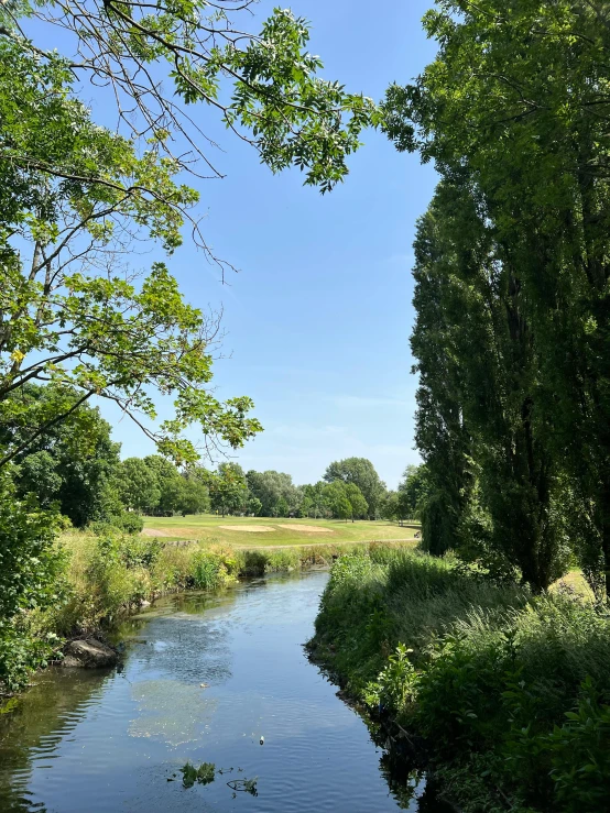 a river that runs through trees in the countryside