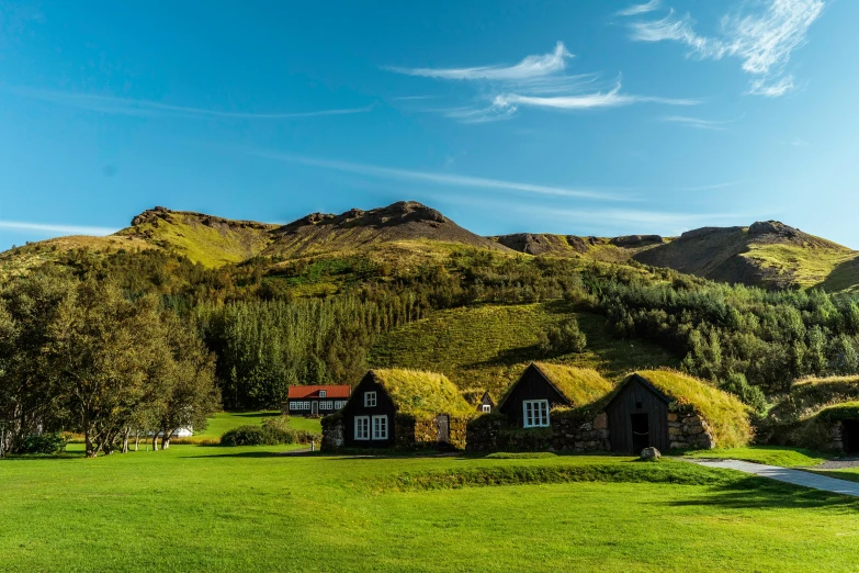 a grassy field with many small cottages