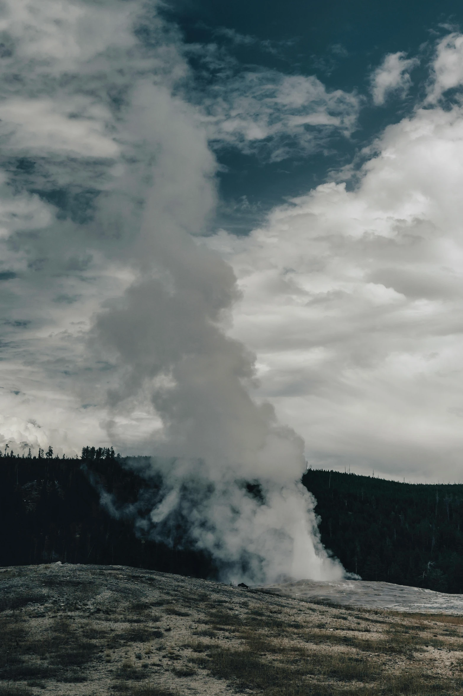 a steam coming from a large venturitor in the forest