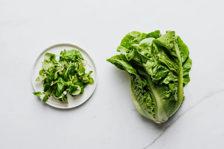 two pieces of lettuce on a plate next to another