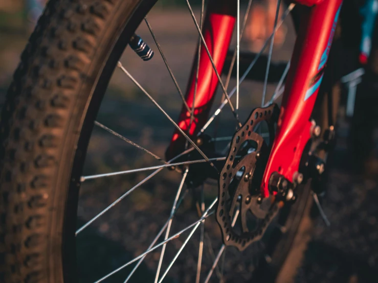 closeup of front wheels of a bicycle and some spokes