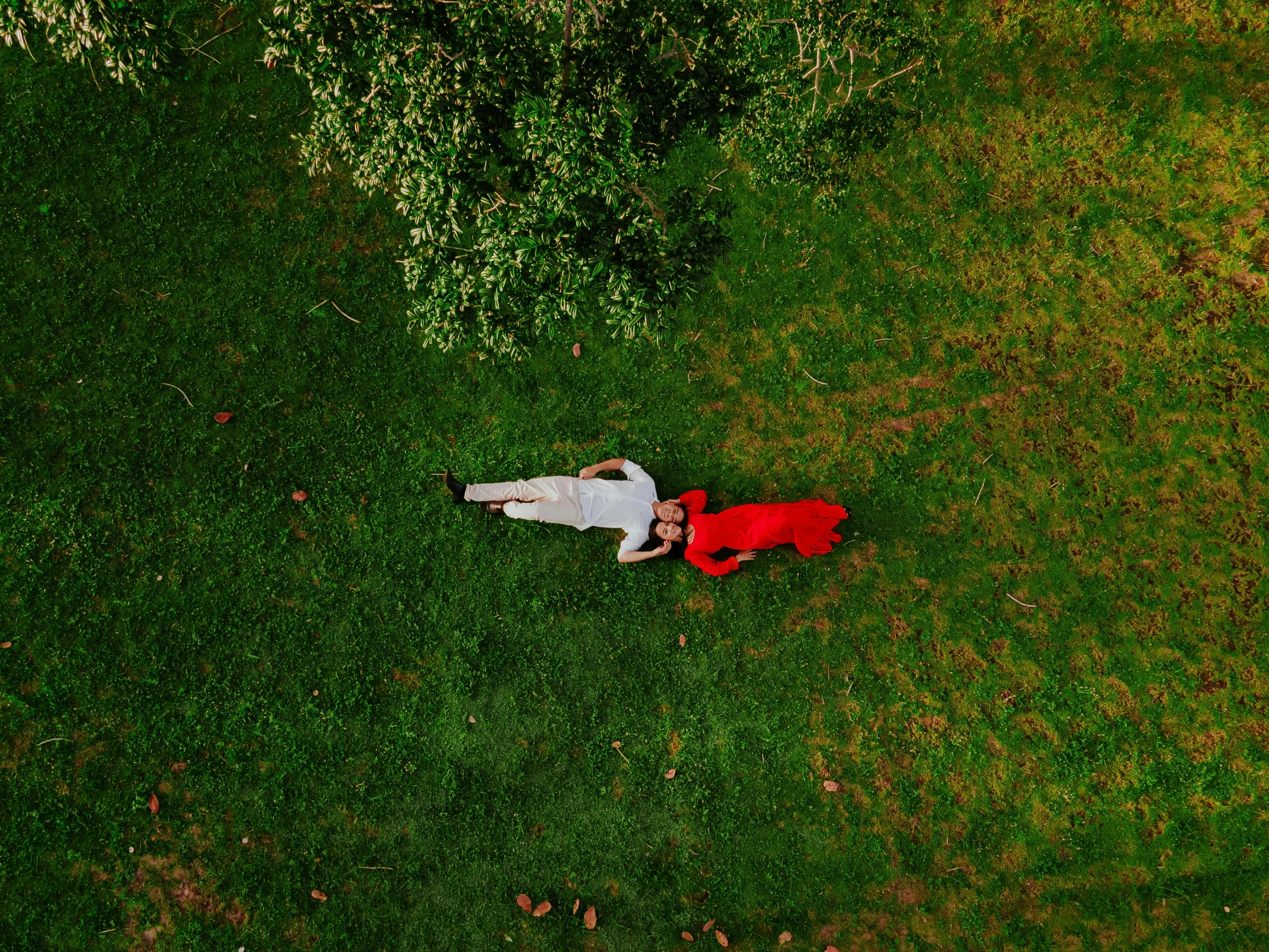 aerial view of two people lying on the grass