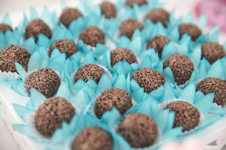 chocolate and blue flowers sit in a tray