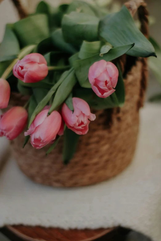 a small pot with pink tulips in it